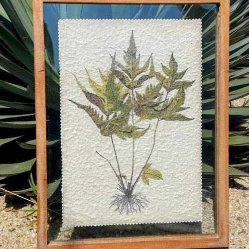 Framed botanical print wood decor featuring pressed cannabis leaves on textured paper