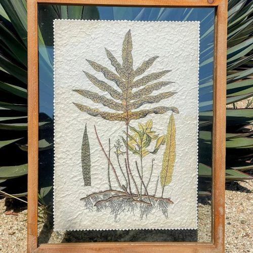 Framed botanical print wood featuring fern and plant specimens on textured paper